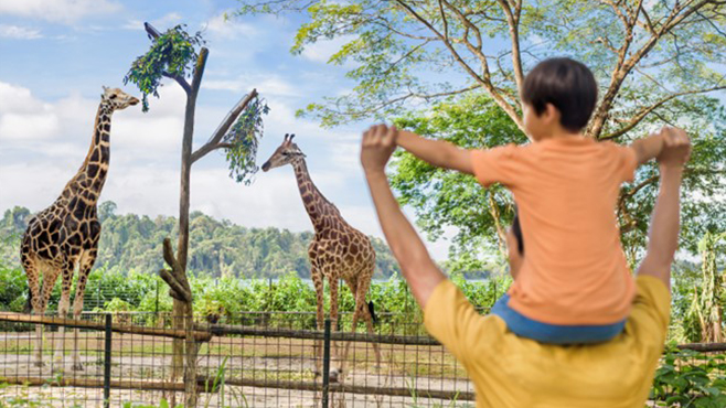 Singapore Zoo HSBC Offers Get 50%25 Off Park Admission Ticket 1685524039 Original ?alt=media&token=cd37c3e6 1c15 47ba B331 C855173a342c